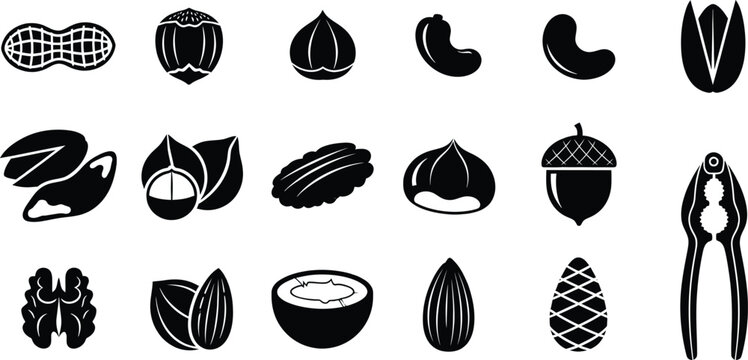 Collection of various nuts and seeds icons in black and white silhouette style