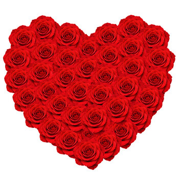 Heart shape made of red roses isolated on transparent background, romantic floral arrangement for wedding, anniversary or valentine's day greeting card