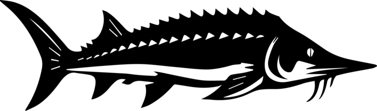 Sterlet fish black silhouette fish marine life