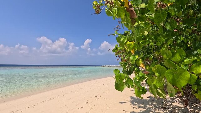 Empty white sand beach in Ukulhas Maldives with palm trees and turquoise water