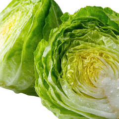 Cut romaine lettuce shows crisp layers, moist surface, fresh green and yellow