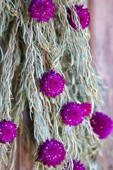 壁に吊るされた綺麗なドライフラワーリース