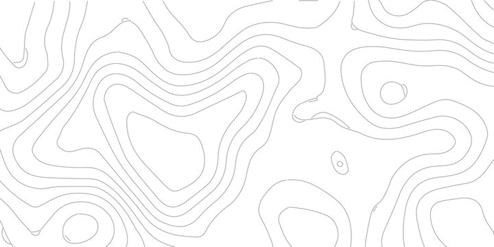 Monochrome topographic pattern with light grey contours on white canvas