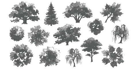 Set of diverse trees in watercolor ink brush style, featuring various deciduous and coniferous silhouettes vector illustration © GraphixEra