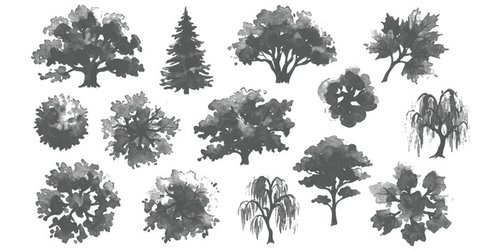 Set of diverse trees in watercolor ink brush style, featuring various deciduous and coniferous silhouettes vector illustration