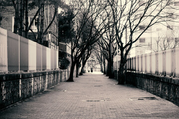 대구 이곡동 골목길