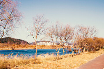 대구광역시 북구 금호강 산책로