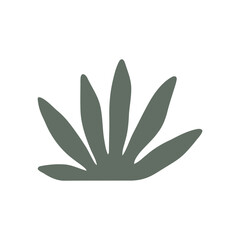 Stylized Botanical Illustration of a Succulent Plant with Broad Green Leaves © Anastasia