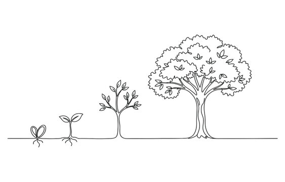 Continuous one line drawing showing tree growth.