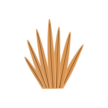 Stylized Graphic Illustration of a Desert Plant or Tall Grass Blades