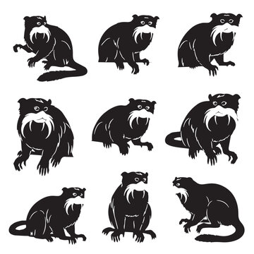 Black Emperor tamarin Silhouette Vector Illustration design, Solid White Background