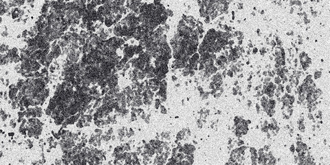 Obraz premium Abstract monochrome texture background with dark organic shapes and light speckled patterns, perfect for grunge or distressed design elements and artistic overlays