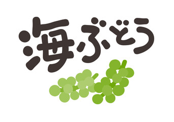海ぶどう 文字セット