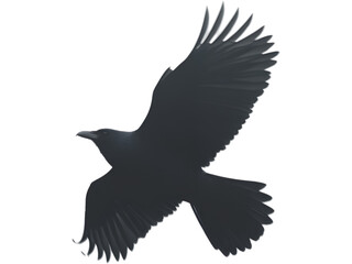 Obraz premium Flying crow with open wings in dynamic pose, dark feathers and realistic bird silhouette isolated on transparent background.