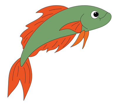 Featherback fish isolated on white background