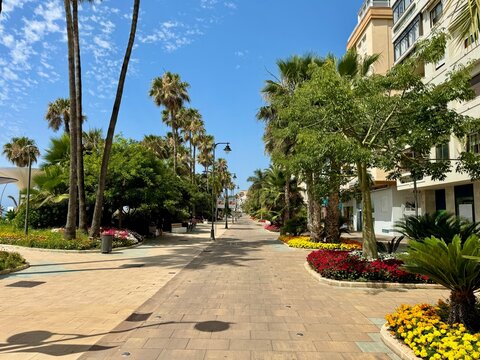 Bulevar Maritimo de Estepona, promenade in Estepona with many flowers and palm trees directly at the Playa de la Cala beach, Costa del Sol, Andalusia, Spain