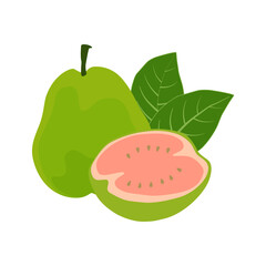 Guava fruit on white background.