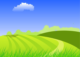 Obraz premium green field and blue sky