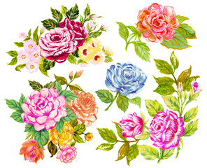 Watercolor set of colorful ancient roses peonies and blossom. hand painting flowers bouquet and petal buds Illustrations isolated