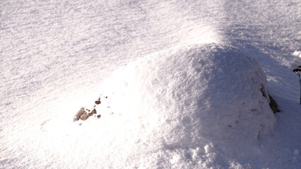 Gruba warstwa śniegu w okresie zimowym. Zaspy białego śniegu zalegające na posesji.  © tomo81