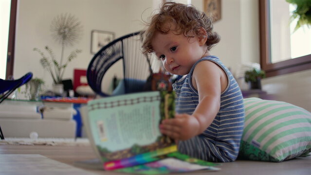 Toddler reads illustrated book while sitting on floor with striped cushion, focused on colorful pages in cozy indoor play area filled with plants and light