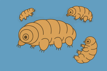 flat illustration of a tartrgrada