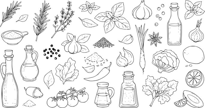 Hand-drawn collection of fresh ingredients for cooking and seasoning
