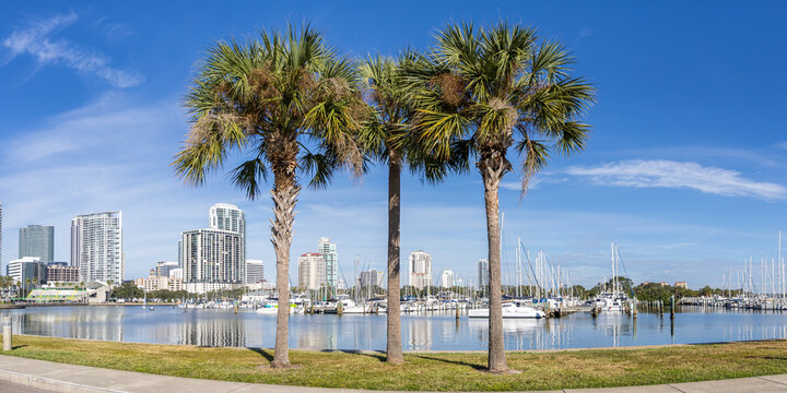 Saint Petersburg Florida waterfront at Tampa Bay panorama with palms in downtown St Petersburg, United States