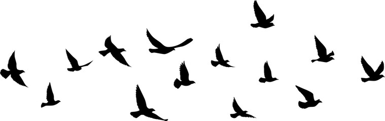 Obraz premium Flying birds silhouettes pattern wallpaper. PNG transparent. isolated bird flying. tattoo design. template for card, package, and wallpaper.