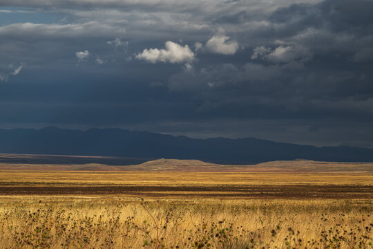 High-resolution landscape featuring golden dry grasslands under a dramatic, dark storm sky with distant mountain ranges. Ideal for backgrounds and environmental themes.