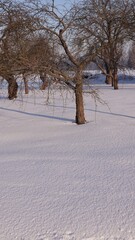Krajobraz wiejski w okresie zimowym. Ziemia pokryta grubą warstwą śniegu.