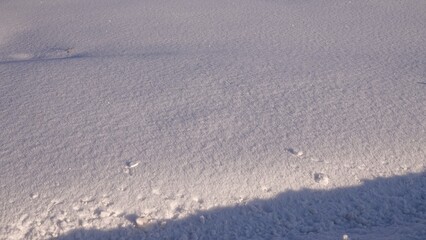 Gruba warstwa śniegu w okresie zimowym. Zaspy białego śniegu zalegające na posesji.  © tomo81