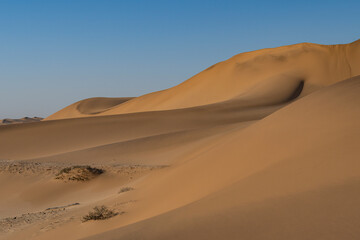 Rolling ochre sand dunes illuminated by the vertical midday sun in the heat of the Namib Desert near Swakopmund