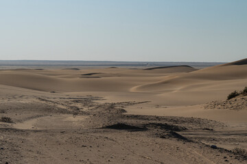 Endless desert landscape stretching to the horizon near Swakopmund showing the vast emptiness of the Namibian wilderness