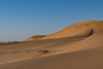 Vast ochre sand dunes under the bright midday sun with minimal shadows in the arid landscape of the Namib Desert