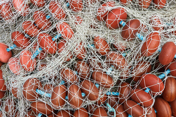 fishing nets and ropes