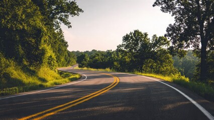 Scenic Route: Curving Road Through Lush Forest