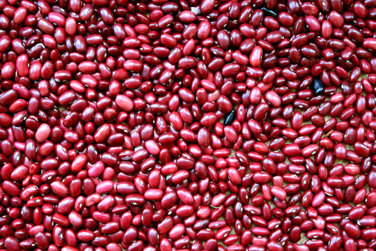 red kidney beans background