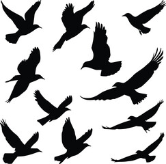 Flying Birds Silhouette Set Vector &ndash; Bird Flock in Flight Wildlife Illustration