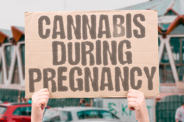 "Cannabis During Pregnancy" Marijuana affects unborn babies. PREGNANCY. FETUS. BABY. MATERNAL. RISK.