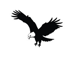 Flying Eagle Silhouette Vector &ndash; Powerful Bird of Prey in Flight Wildlife Icon