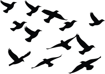 Bird Flock in Flight Wildlife Illustration