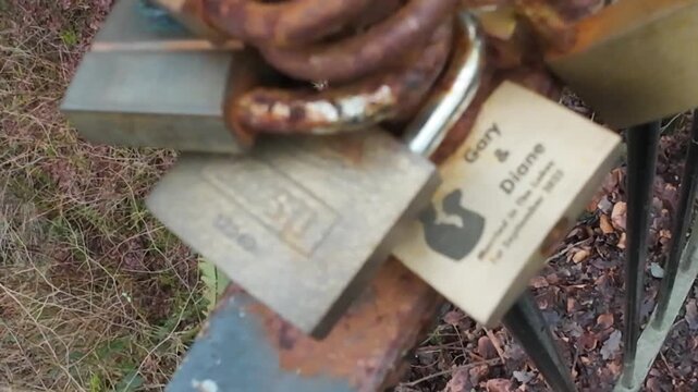 Rusty love locks padlocks on an iron fence