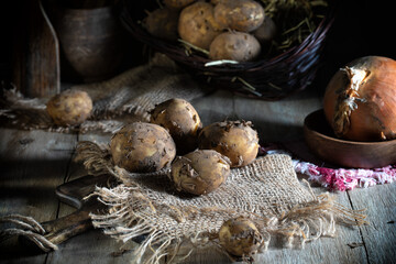 Fresh unwashed potatoes on a village table.