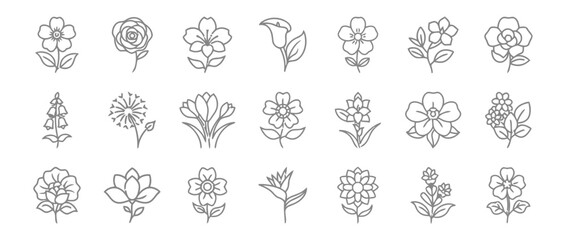 Set of delicate flower icons with various blooming petals and stems representing nature beauty floral elements botanical illustrations for design and decoration vector collection