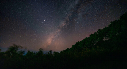 Fototapeta premium Landscape of Milky way over Mexican sunflower ( Tung Bua Tong flower) on mountain in Mae Hong Son Province, Thailand.