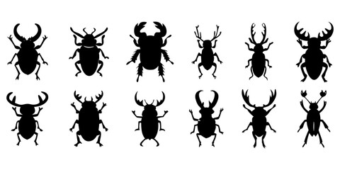 This illustration of nature consists of vector silhouettes of various insects. 