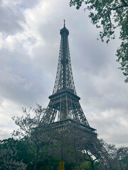 Beautiful view of the Eiffel Tower framed by green crowns of tall trees in spring in Paris, France.