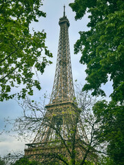 Beautiful view of the Eiffel Tower framed by green crowns of tall trees in spring in Paris, France.