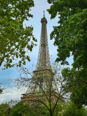Beautiful view of the Eiffel Tower framed by green crowns of tall trees in spring in Paris, France.
